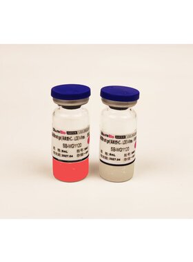 基质胶matrigel(高浓度HC，LDEV-free）圣尔生物SB-MG1120
