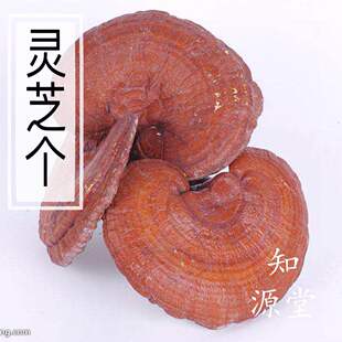 中药材灵芝个500克 黑灵芝片紫灵芝条赤灵芝云芝平盖灵芝泡酒灵芝