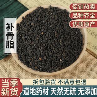 补骨脂500克包邮 可代磨补骨脂粉/炒盐补骨脂颗粒
