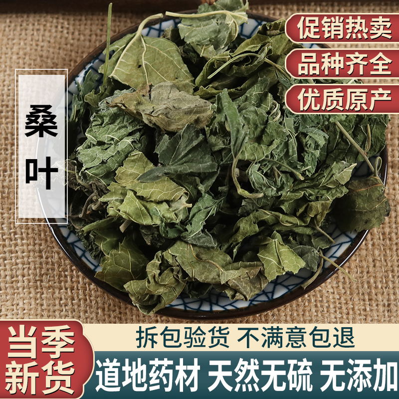 中药材 纯天然野生特级桑叶 正品霜后桑叶茶 非同仁堂 新鲜 500克