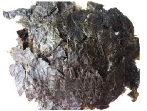 新鲜天然野生中药材云南大叶苦丁茶 毛冬青茶 苦甘叶500g散装包邮