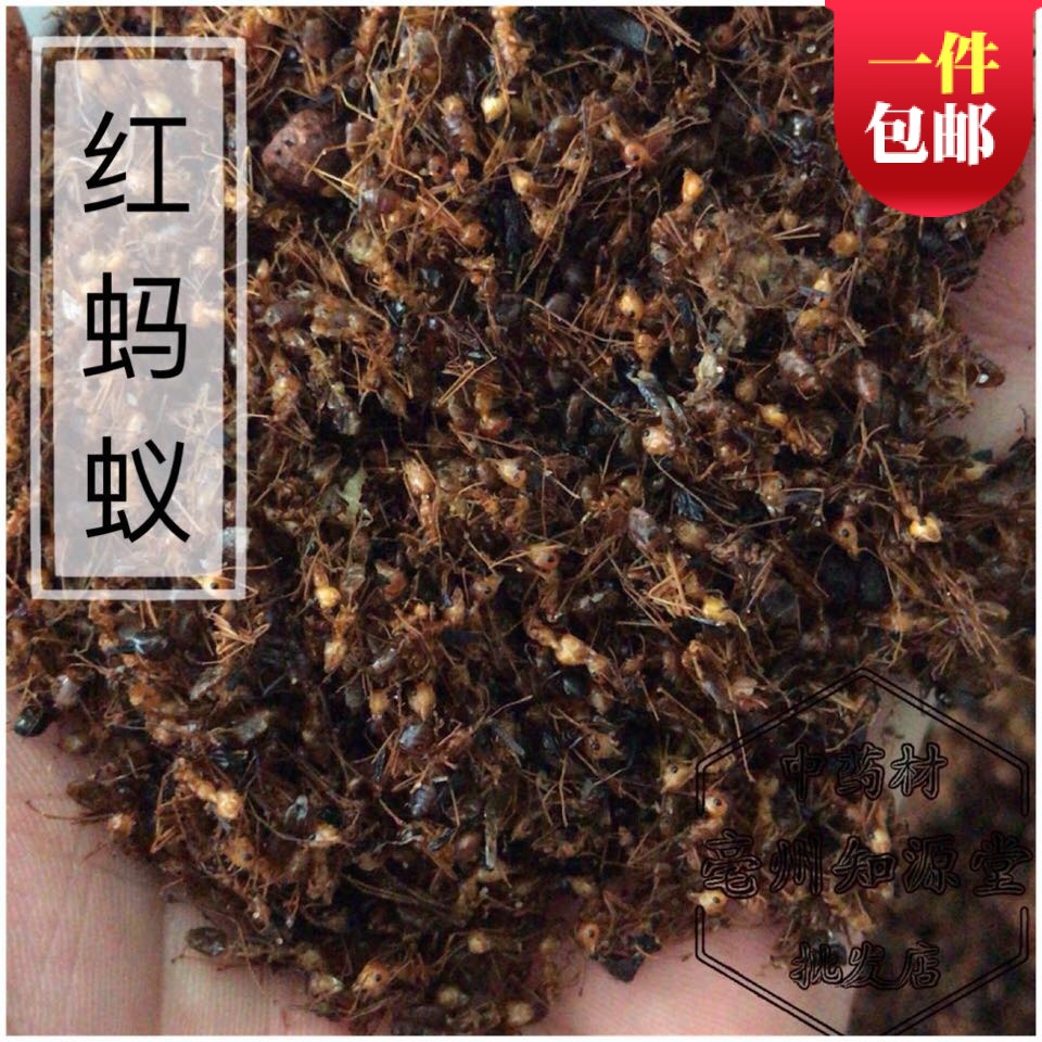 东北长白山野生红蚂蚁中药材泡酒湿关节500g热卖蚁酸充足大山蚂蚁