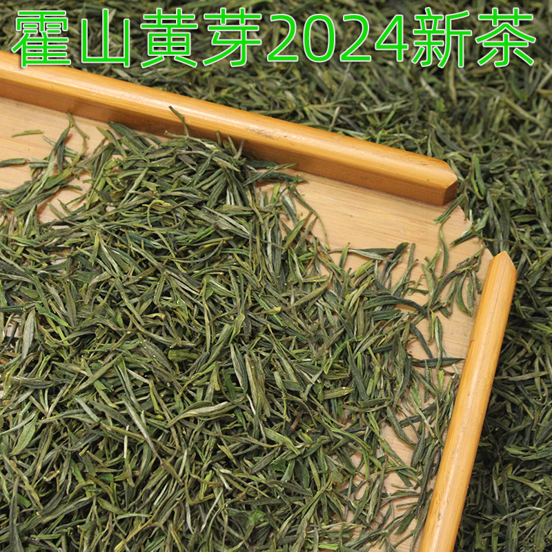 2024新茶上市正宗霍山黄芽