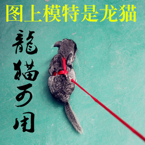 龙猫牵引绳 仓鼠荷兰猪牵引链子花枝鼠牵引绳小宠牵引绳