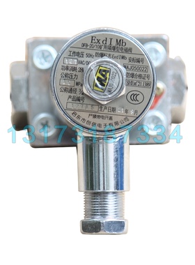 天津华宁DFB-20/10矿用隔爆型电磁阀DFB20/10X电磁先导阀127V/36V