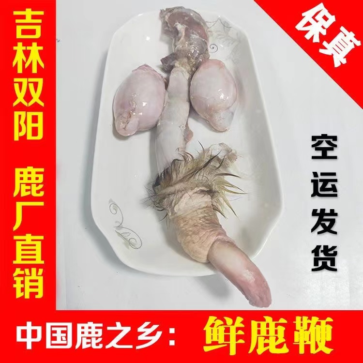 新鲜鹿鞭整根煲汤顺丰包邮