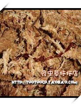 智利食虫植物微景观散装5kg水苔