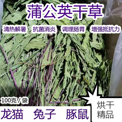 小七麻麻 蒲公英草龙猫用品豚鼠荷兰猪兔子干草零食牧草烘干100克