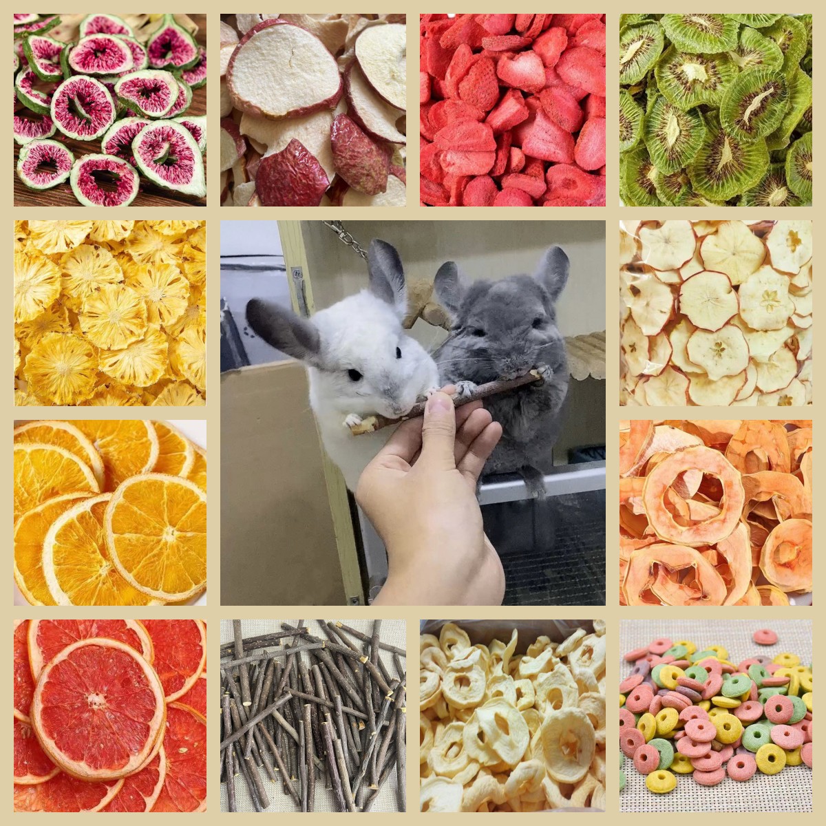 龙猫专用零食水果干磨牙用品全套