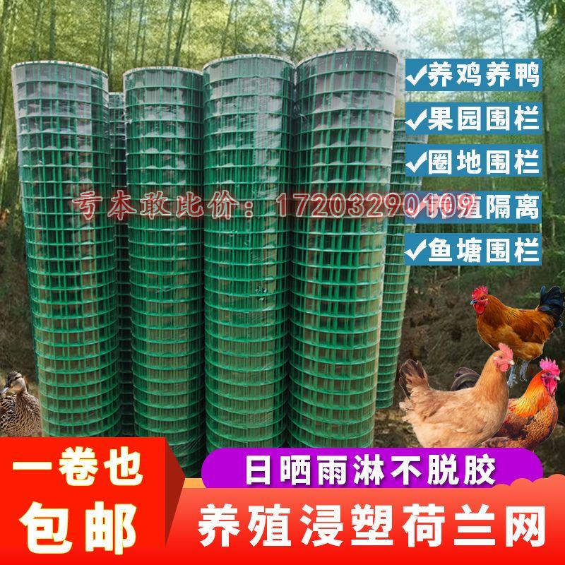 防锈铁丝网围栏养鸡养殖网栅栏