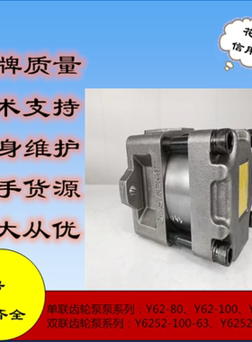 齿轮泵住友 QT6N-63F-BP-Z/QT6N-100E-SV-Z液压油泵SUMlTOMO