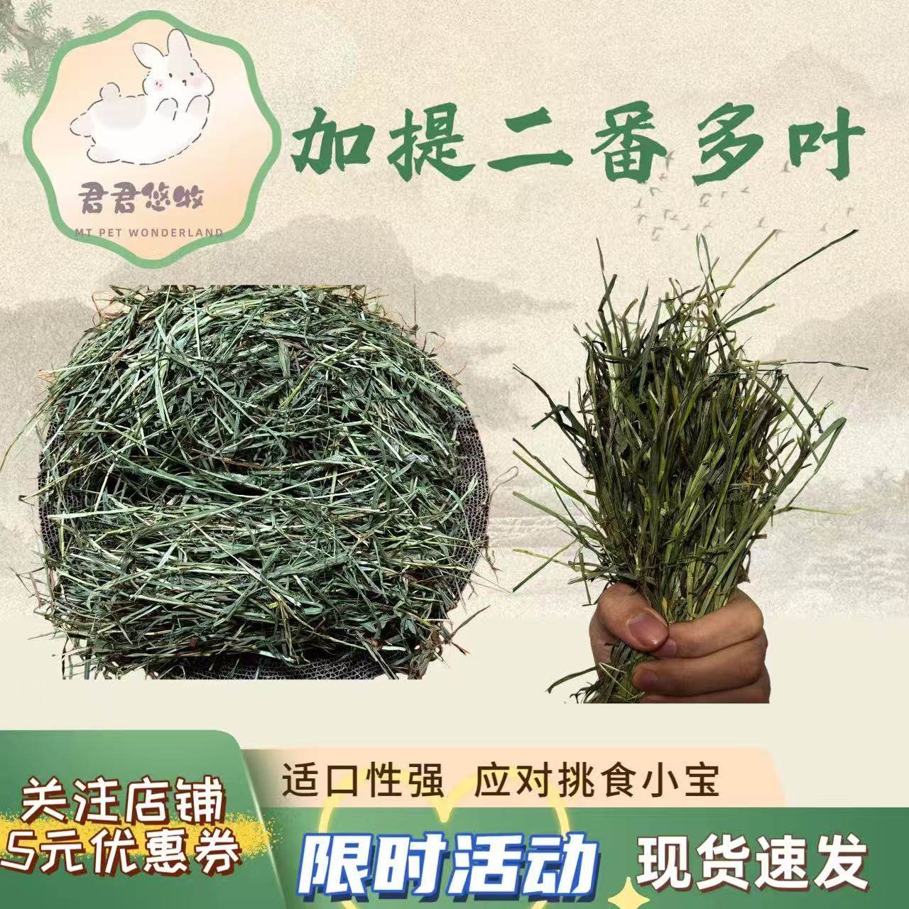 加提二番多叶晒干提摩西草干草兔子龙猫豚鼠荷兰猪高纤维磨牙牧草