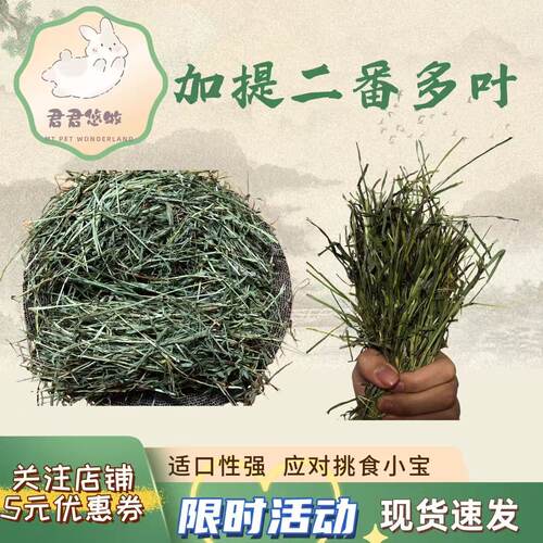 精挑加提二番多叶兔兔干草