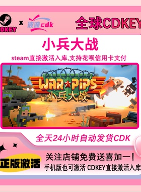 小兵大战 Steam正版Cdkey 国区激活码 现货下单秒发 Warpips