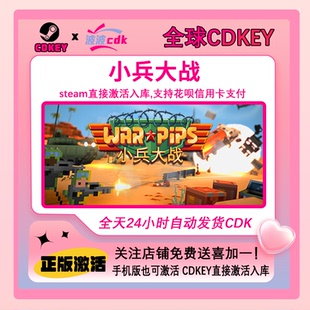 小兵大战 Steam正版Cdkey 国区激活码 现货下单秒发 Warpips