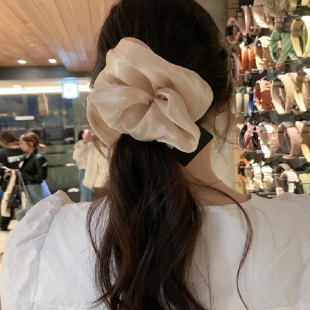 韩国nyunyu发饰气质百搭高级感大肠发圈蓬松大肠圈丸子头盘发头绳