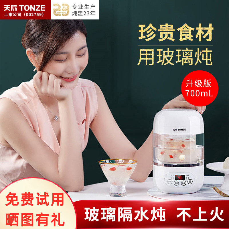 炖燕窝专用炖盅电家用隔水炖锅天际煮粥神器养生迷你小型煲汤顿蛊