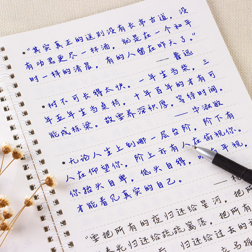 连笔字练字板多少钱 连笔字练字板价格 小麦优选