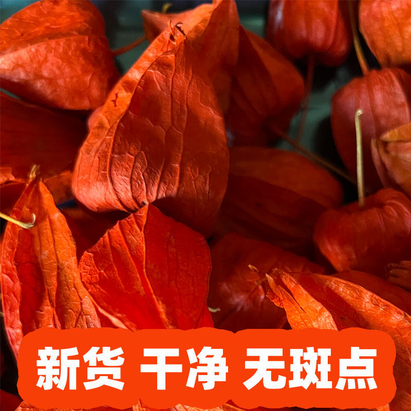 长白山红姑娘果皮一体药用苦姑娘锦灯笼山菇娘中药材新货