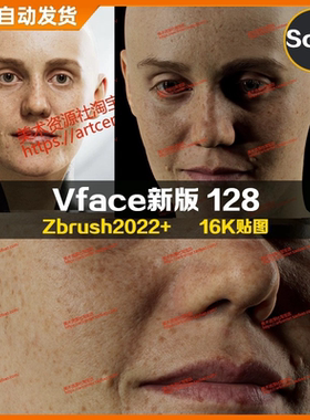 XYZ/Vface新版ZBrush写实高清扫描模型头16K皮肤贴图Solomia128