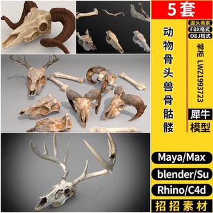 OBJ C4D动物骨头兽骨骷髅Rhino犀牛SU blender 3dmax模型MAYA FBX