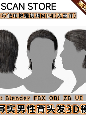 3DScanStore写实毛发男性帅哥插片头发型后背头3D模型Blender FBX
