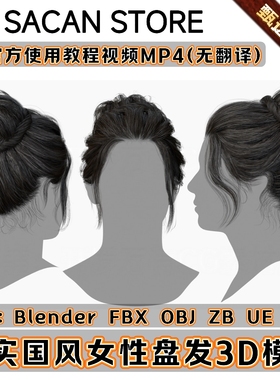 3DScanStore写实毛发女性插片头发长发古风盘发3D模型Blender FBX