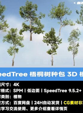 SpeedTree梧桐树物种包3D模型植物软件树木工程LowPoly游戏版UE