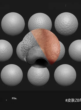 ZBrush人类皮肤脸部身体毛孔水果皮凹凸细节皱纹雕刻zb笔刷素材