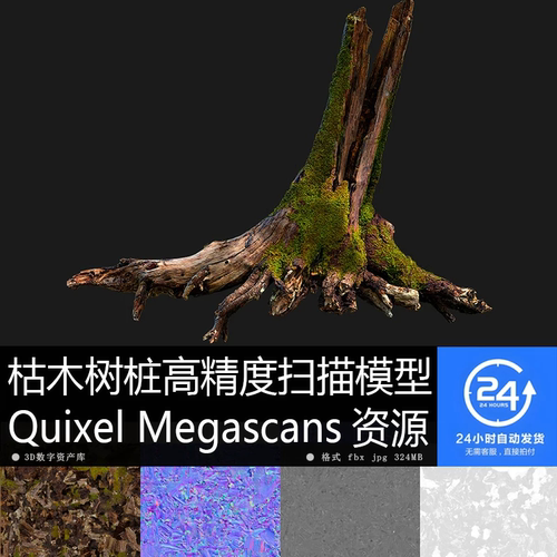 枯木树桩高精度扫描资源高清模型贴图材质PBR4K