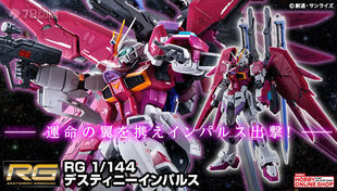 李翔 万代 限定 RG 命运脉冲高达   补件 零件 配件 部件