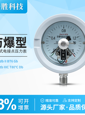 YXC100B 防爆电接点压力表 ExdIIBT6隔爆型电接点压力表 压力开关