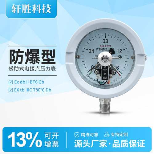 ExdIIBT6隔爆型电接点压力表
