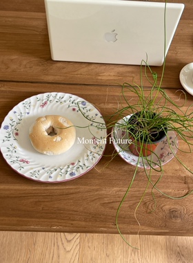 Moment Future法式复古碎花餐盘牛排意面沙拉碟酸奶麦片碗精致餐