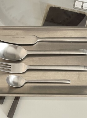 Moment Future复古餐具刀叉勺拉丝哑光不锈钢简约西餐刀早餐勺
