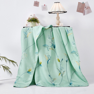 TG梦洁家纺夏被薄被子夏季学生宿舍单人被芯被子