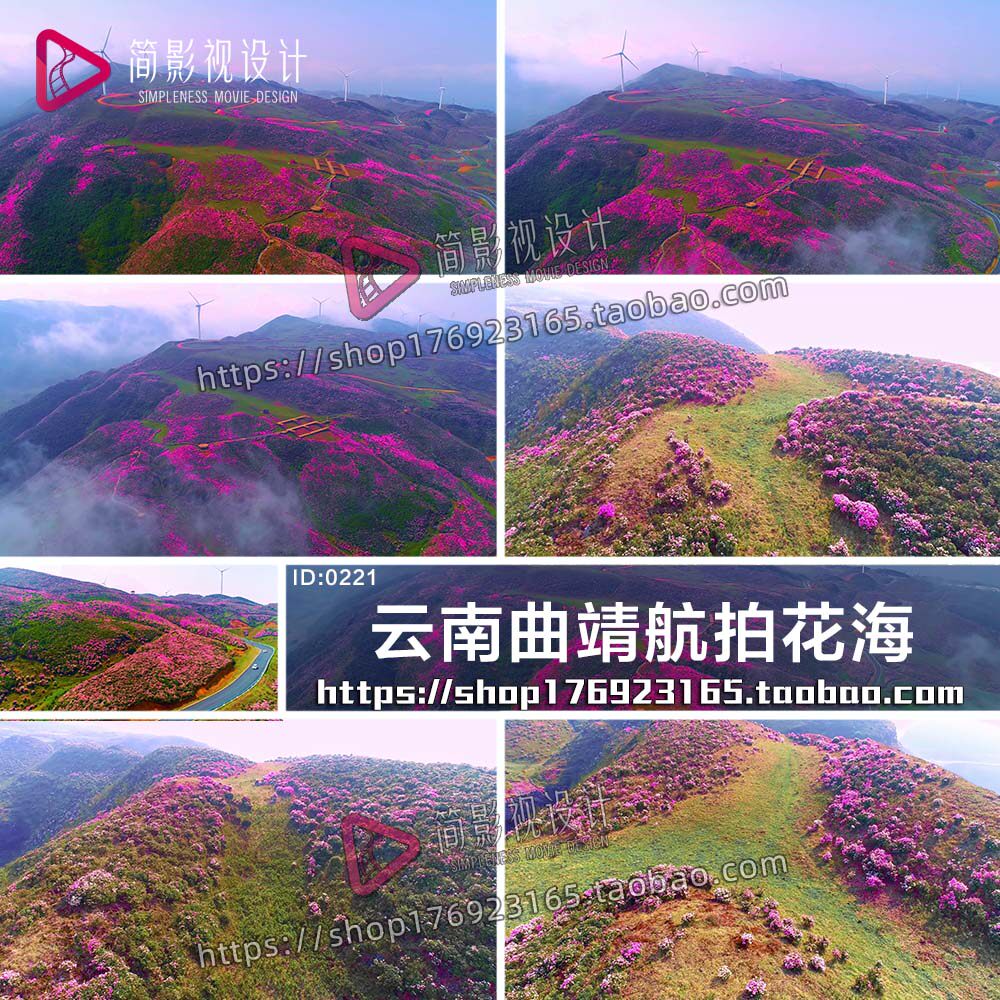 云南曲靖千亩花海风景旅游区桃花鲜花赏花拍照公路航拍视频素材