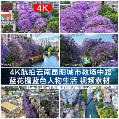 4K航拍云南昆明城市教场中路 蓝花楹蓝色人物生活 视频素材