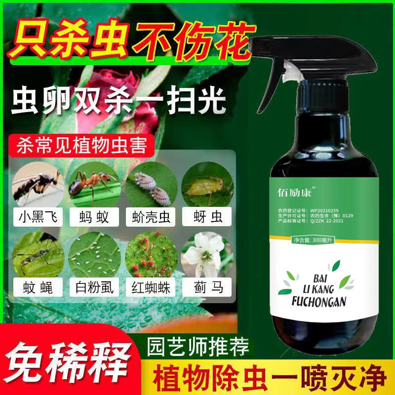 栀子茉莉花生虫子药 花上有虫子除虫药葡萄树打虫药 盆栽花去虫剂