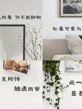 英文励志小清新风宿舍少女心墙贴
