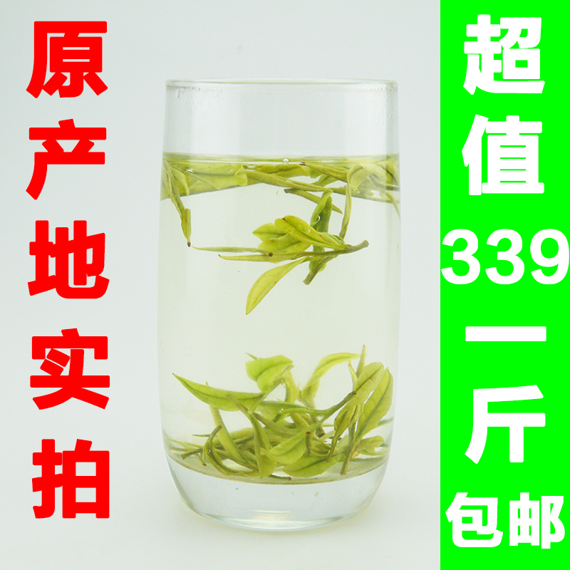 正宗安吉白茶2024年明前特级茶叶