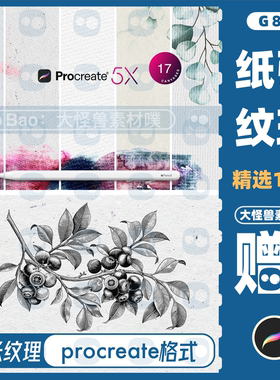 Procreate绘画水彩素描画布白色纸张质感纹理纸纹背景底纹素材G87