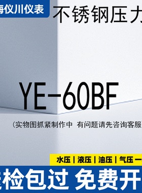 上海仪川仪表厂YE-60BF膜盒不锈钢压力表16kpa千帕天燃气煤气体然