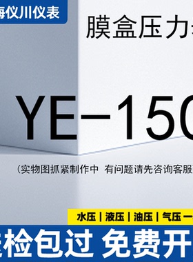 上海仪川仪表厂YE-150膜盒压力表16kpa千帕天燃气煤气体然气