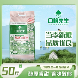 口粮先生甄选丝苗米50斤当季新米晚稻丝苗长粒香米新米大米批发