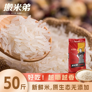搬米弟农家50斤大米油粘米25kg2024新米整袋晚稻丝苗米长粒香米
