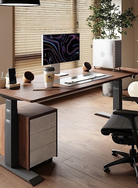 WITTABLE7电动升降桌实木家用办公电脑学习大尺寸升降桌书桌