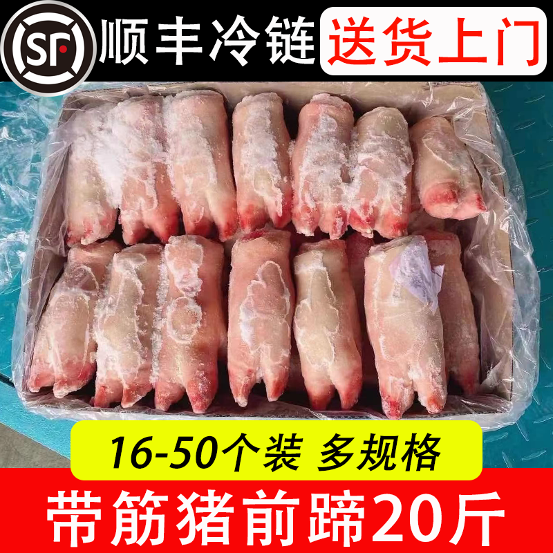新鲜冷冻带 筋猪前蹄 猪脚 猪手 20斤 饭店餐饮卤菜食材