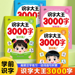 幼儿认字识字大王3000字幼儿园学前班宝宝Y17 下单立减50