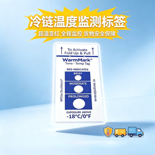 一次性冷链温度计标签生鲜食品运